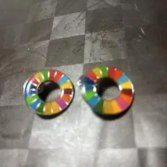 SDGs ピンバッチ 25ミリ✕2個
