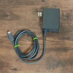 switch ACアダプター 純正品