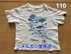 UNIQLO DORY Tシャツ 110cm