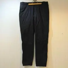 パンツ Dickies MIN-NANO FGZ STANDARD PANTS L MIN-NANO ミンナノ x Dickies ディッキーズ FGZ STANDARD PANTS