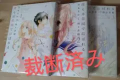 【裁断済】僕らは楽園で結ばれる1~3 *自炊