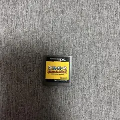 DSソフトのみ　スーパーカセキホリダー