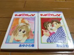 中古少女マンガ全2冊売り