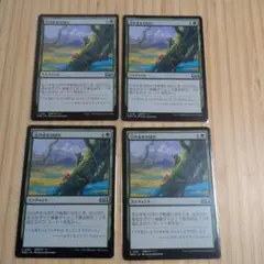 MTG 豆の木をのぼれ 4枚セット