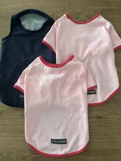 Item thumbnail for item 76bc3077-0e44-45d5-b63f-749a6f6b4c4d