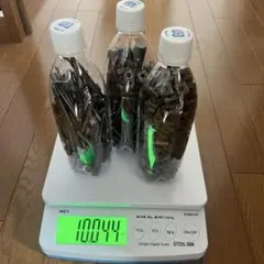 Item thumbnail for item 160a8f44-01e7-4986-80e8-ed182aa65f8a