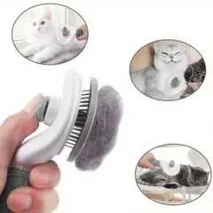 Item thumbnail for item 4ba9ef6b-51a3-4725-aa7c-3522753811b5