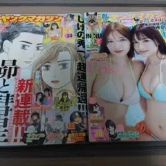 ヤングマガジン　34 35