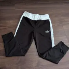 Item thumbnail for item 00fea5d4-52f5-4f19-b569-94814f1cabfc