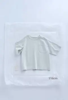 ✿未使用【ZARA TIMELESS】 ポケット付きラスティックTシャツ