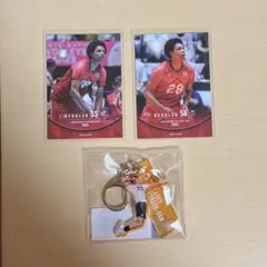 バレーボール男子日本代表 ラリー選手