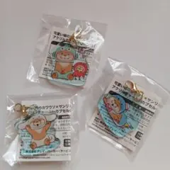 サンリオ×カワウソ　ガチャガチャ