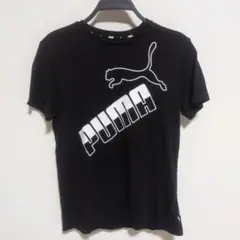 PUMA 黒 Tシャツ サイズ160