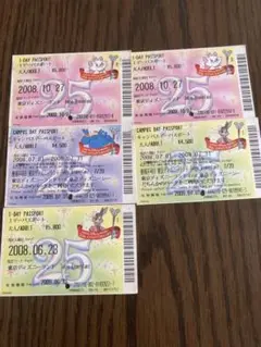 ディズニーチケット 25th