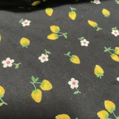 レトロ生地レトロいちご生地