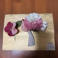 Item thumbnail for item a9b5a9a0-59a0-4c7e-a803-a75a8dbc0338