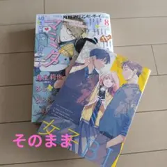 マガジンビーボーイ　2025年8月号　付録冊子あり