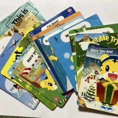 チャレンジイングリッシュ　DVD