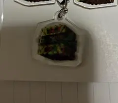 エヴァンゲリオン　エヴァ　未来への咆哮　キーホルダー　ノイズ保留　ST ダミー