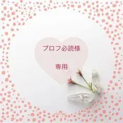 プロフ必読❤ラブ&ピース様 リクエスト 2点 まとめ商品