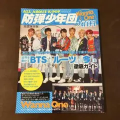 Item thumbnail for item 8d713d75-a475-4b57-8b1a-1872bc780226