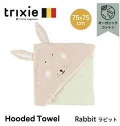 Item thumbnail for item 8e075824-ae42-4a1d-9f36-f6eede23023f