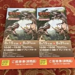 恐竜世界大出現　ダイナソーズ　イマージュ　チケット2枚