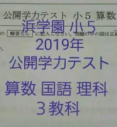 浜学園 小5 2019年 3教科 算数 国語 理科