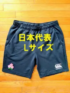ラグビー 1993年イングランド代表カナダ遠征の実使用ジャージ ラグビー日本代表 ジャパンショートスリーブ4インチストライプ
