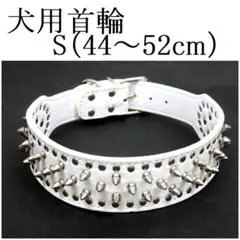 Item thumbnail for item ef62928c-19aa-4ff0-84c4-fa43b36ce31a
