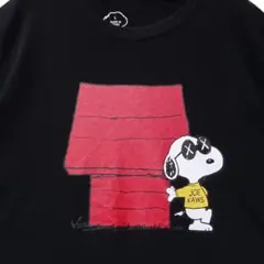 スヌーピー Tシャツ Lサイズ 黒 KAWSPEANUTST T61