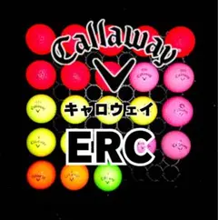 5※キャロウェイ ERC 他 ロストボール23球