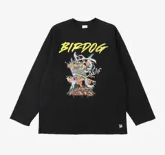 BIRDOGコムドット 300万人記念