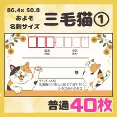 【三毛猫①】宛名シール　差出人シール　普通サイズ　40枚　シンプル　動物　ネコ
