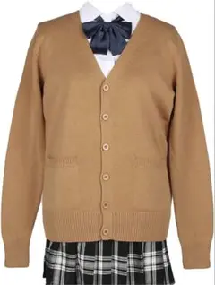 Item thumbnail for item de084f5a-5bfd-499c-9326-b5652c7b1ba0