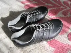 Item thumbnail for item cc384f27-44ca-4dc0-9777-e2b5b7138381