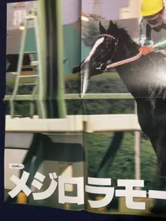 サラブレ　付録　ポスター　エアグルーヴ　メジロラモーヌ　1月号