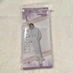 Item thumbnail for item 2b94bc20-1694-42cf-88b7-47ede4c38510