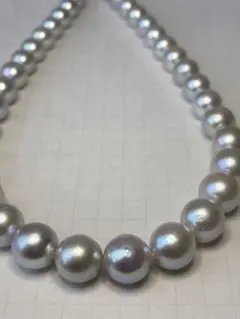 アコヤグレー6−9㎜　26cm