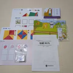 新年度★知研ボックス★C-13 14 15 16★年長用1年分★BOX 知研ボックス 年長 C-13.14.15.16