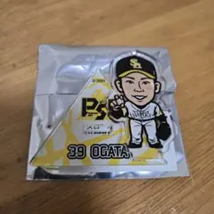 ソフトバンクホークス 尾形崇斗 スローガン アクスタ