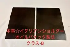 Item thumbnail for item 033b016d-bba6-464d-9b8d-5025a0a583c6