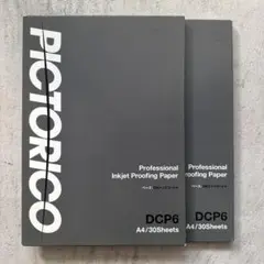 PICTORICO DCP6 A4 30シート×2セット
