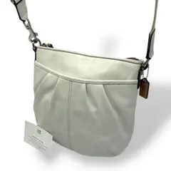 Item thumbnail for item 769f2365-ae6c-464d-b0e6-cea49406d9a2