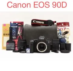 Item thumbnail for item 71c0c980-fb33-4ee2-9890-0b5ae7c2c7a6