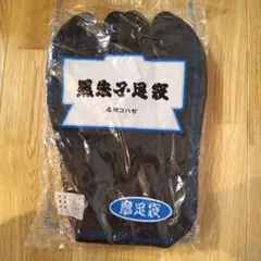 Item thumbnail for item ebffdad2-1616-4c0c-918f-439fba896fdb