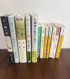 小説　文庫本　まとめ売り　12冊セット