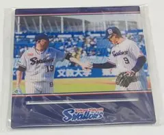 ヤクルト スワローズ ハッピーくじ B賞 アクリルスマホスタンド 石川 塩見