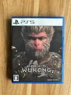 BLACK MYTH WUKONG PS5