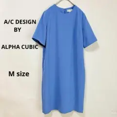 Item thumbnail for item fe1efda3-2c8e-4c66-9bca-64b28f925d6e